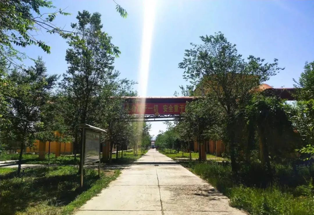 寶石花·有聲 | 十年，我愛(ài)上了你——恒盛